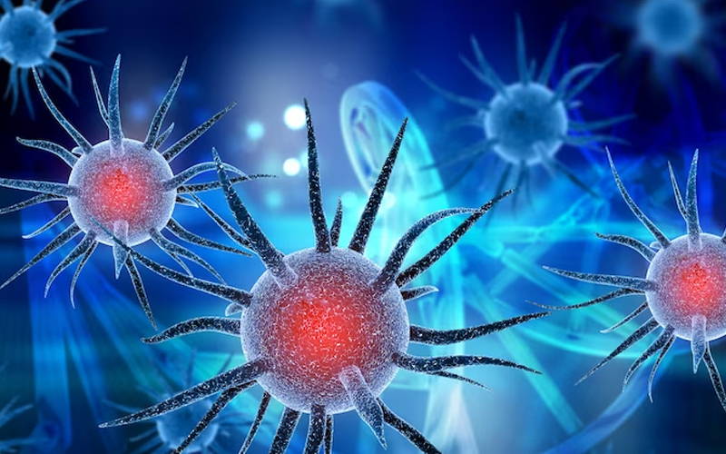 The Vitamin B Complex Dosage for Nerve Damage